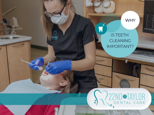 The Importance of Searching for Regular Dental Cleanings Near “Me”: Come Visit Our Dentists in Red Deer